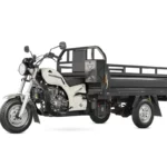CERONTE TRICARGO 200 (4)